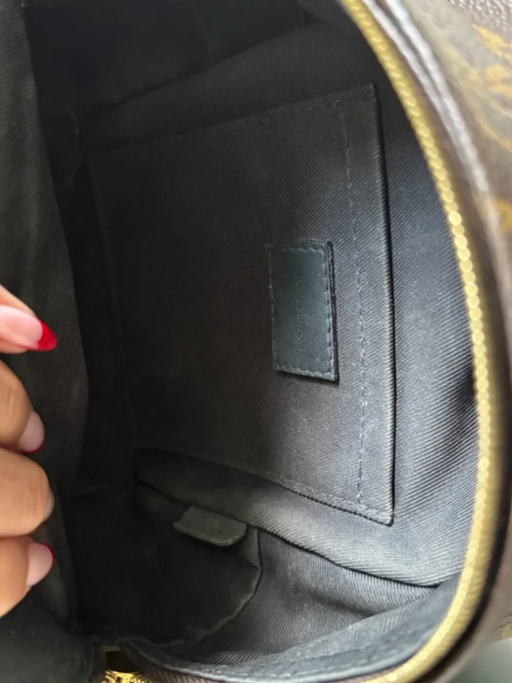 Louis Vuitton Palm Springs Mini Backpack